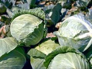 Cabbages and Power Supplies