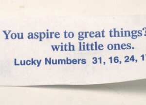 Fortune Cookie Wisdom