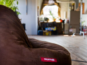 Review: “Sumo Sway Couple” Bean Bag Chair