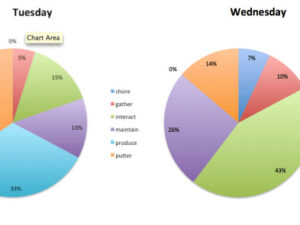 Producing Day 17-18: Pie Charts and Further Definition
